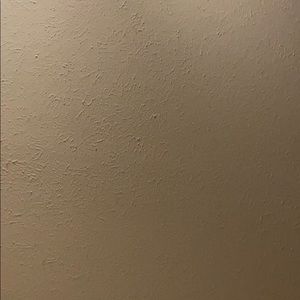 Meet your Posher, Gracie